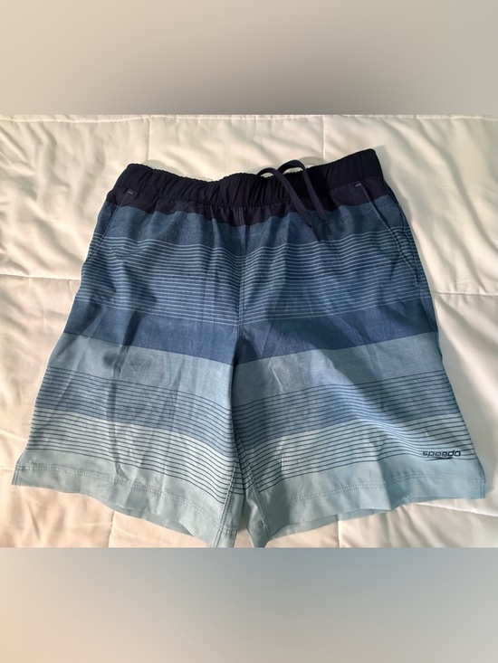 Speedo Other - Speedo Men’s Blue Stripes Swim Trunks Shorts Lined